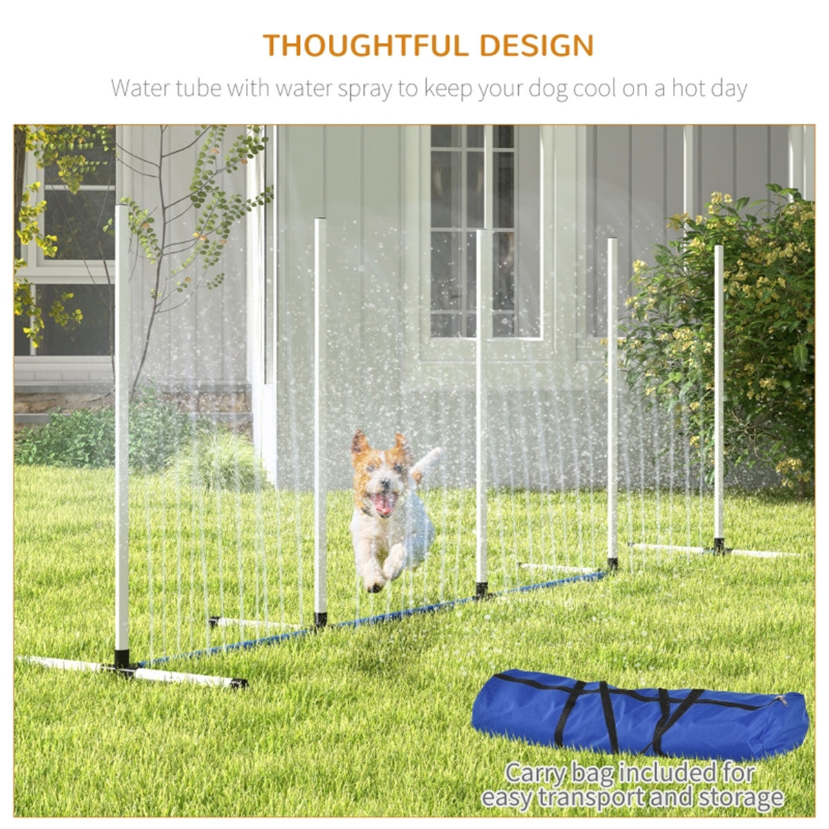 Dog Outdoor Exercise Training Set   ( Amazon Shipping)（Prohibited by WalMart）