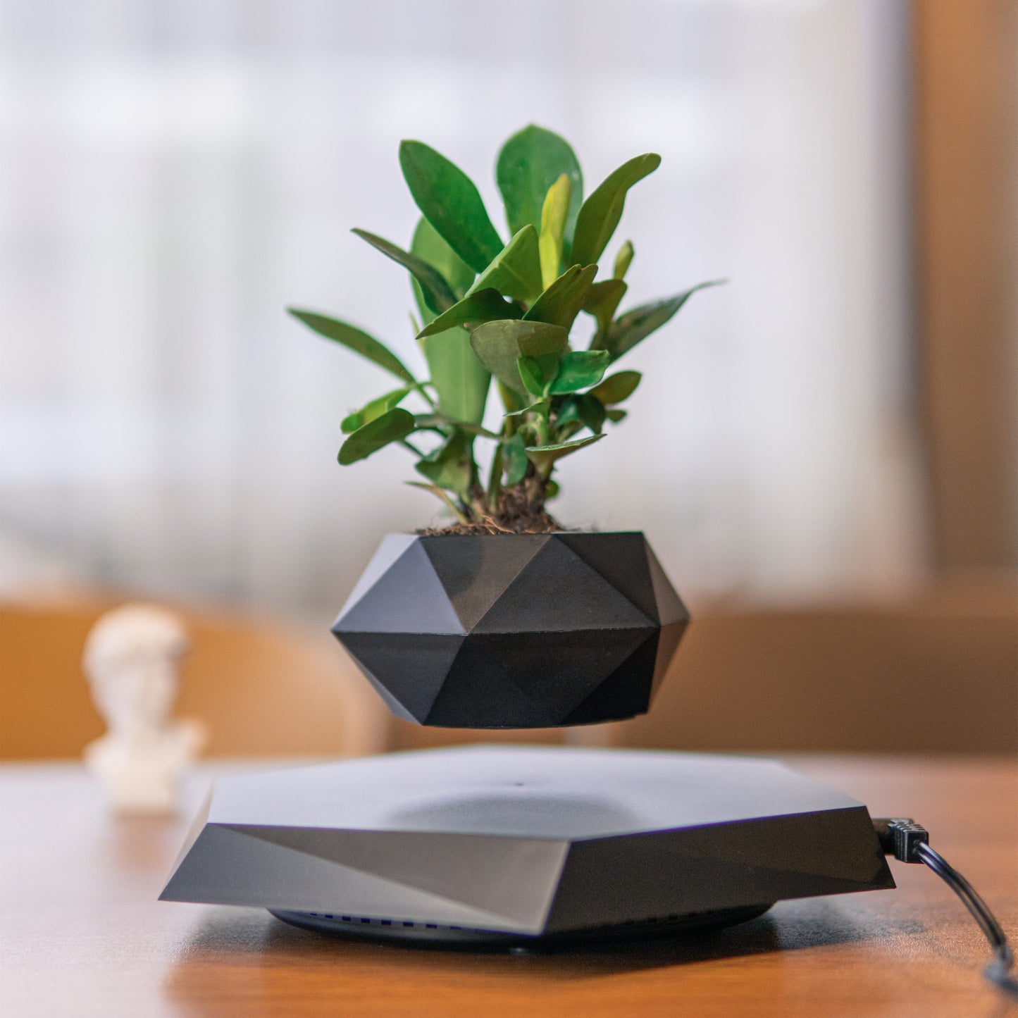 Magnetic Levitation Planter - Rail Planters with Unique Floating Effect for Small Plants, Home & Office Decor, Christmas and New Year Gift Idea